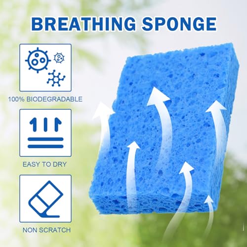 20 Pack Sponges Kitchen Natural Compressed Cellulose Sponges for Dishes Non Scratch for Household Cookware Bathroom Cars Soft Super Absorbent Reusable (20 Count)