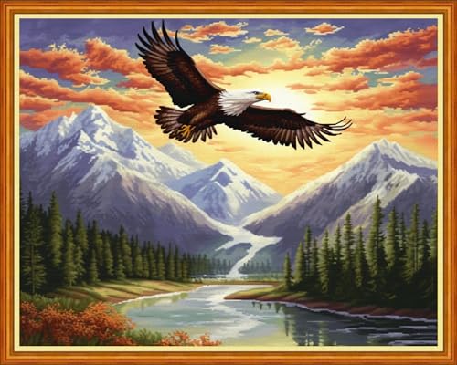 Cross Stitch Kits for Adults Beginners