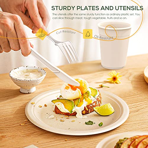 100% Compostable Plates Set 700pcs Heavy (700 Count)