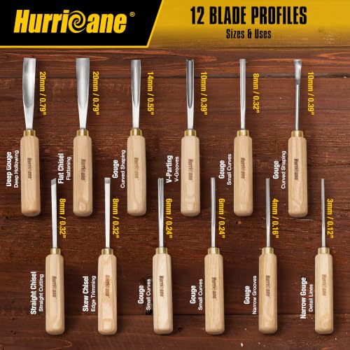 12 Piece Starter Wood Carving Tools Set