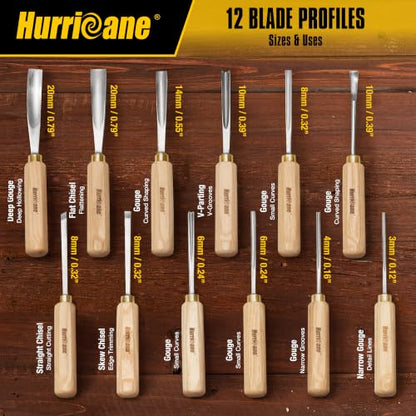 12 Piece Starter Wood Carving Tools Set