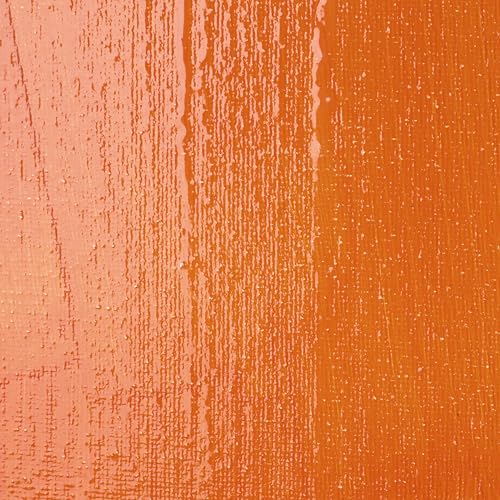 Professional High Gloss Varnish (8 Fl Oz)