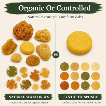 Natural Sea & Synthetic Sponges 7pk (7 Count)