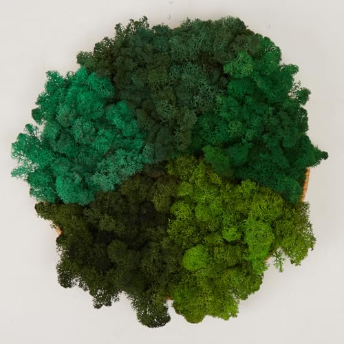 Preserved Reindeer Mix Craft Moss Natural Green DIY Kit Gardenning Art Wall Decor Florist Easter Table Decor Wedding Decor