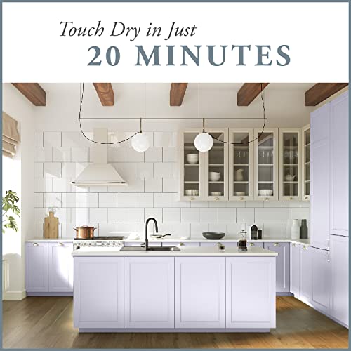 Chalk Based One Step Paint for Furniture (32 Ounce)