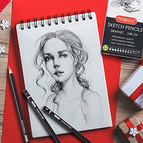 Drawing Sketching Pencil Set (12 Count)