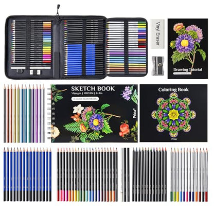 81 Drawing Set Sketching Kit (81 Count)