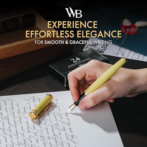Luxury Fountain Pen Set for Writing