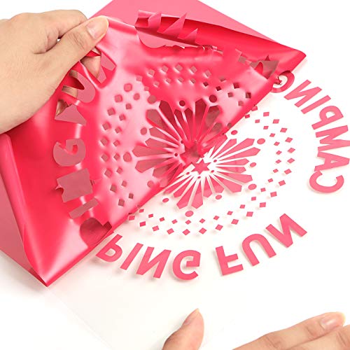 RENLITONG Heat Transfer Vinyl (10 Foot)