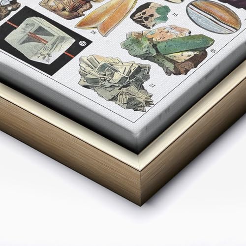 Vintage Geology Canvas