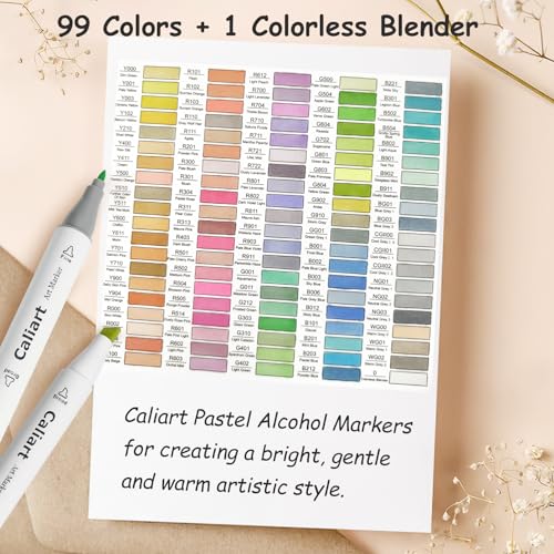 100 Colors Pastel Alcohol Markers Fine & Chisel Art Markers Pens (100 Count)