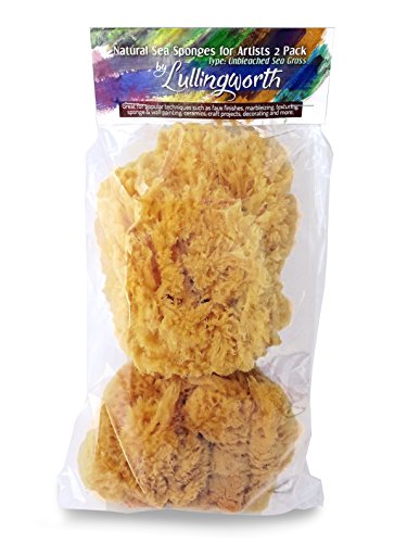 Unbleached Natural Sea Sponges for Artists 2pk (2 Count)