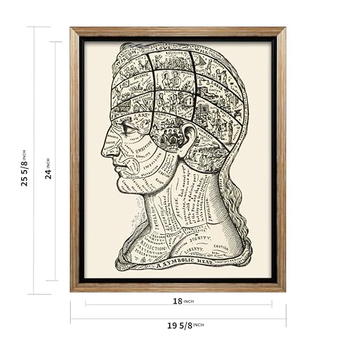 A Symbolic Head Phrenology Print 1899