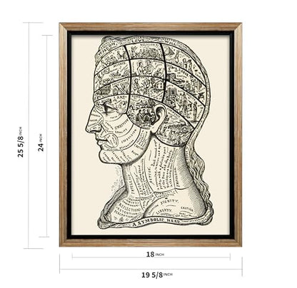 A Symbolic Head Phrenology Print 1899