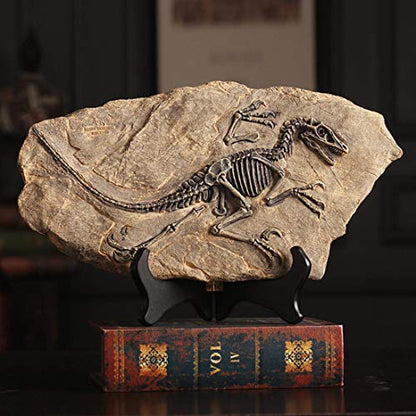 Resin Dinosaur Fossil Statue Model Simulated Skeleton Home Office Display Decorative Craft Box Decoration