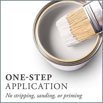 Chalk Based One Step Paint for Furniture (16 Fl Oz)