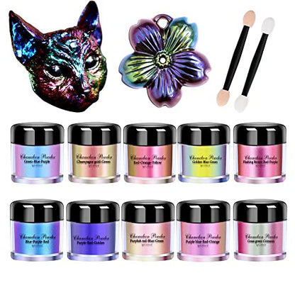 10 Colors Chameleon Mica Powder Color Shift Pigment Powder for Epoxy Resin Painting Soap Making Bath Bombs Candle Making Slime