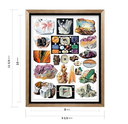 Vintage Geology Canvas