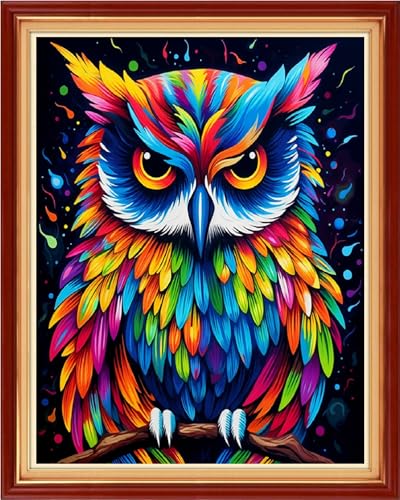 Stamped Cross Stitch Kits for Beginners Full Range of Cross Stitching 11 CT Printed Cross Stitch Kits for Adults Cross Stitch Patterns Needlepoint Kits