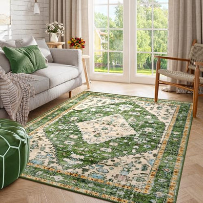 Felice Boho Tribal Area Rug