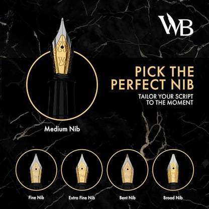 Luxury Fountain Pen Set for Writing