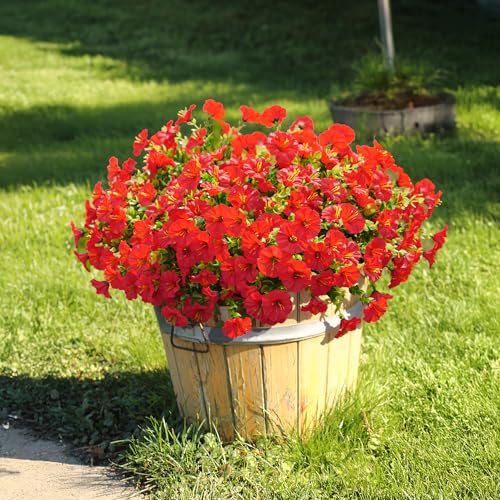 Artificial Flowers Fake Plants for Outdoors Decoration (12 Count)