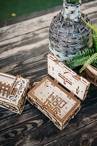 Enigma Chest Puzzle Box 3D Wooden Puzzles for Adults to Build