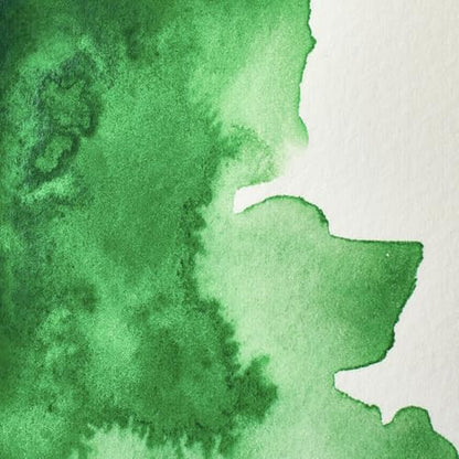 Professional Watercolour Revival