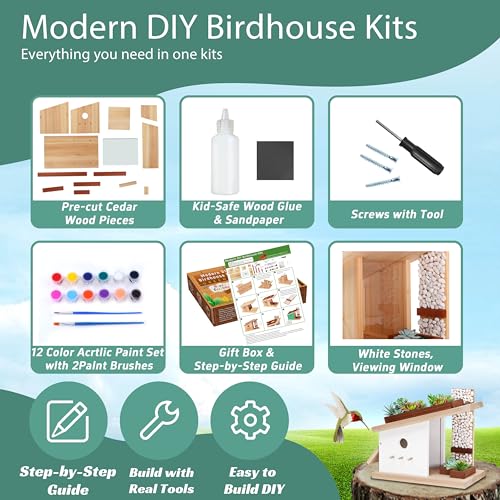 Modern Birdhouse Woodworking Kit (4 Gram)