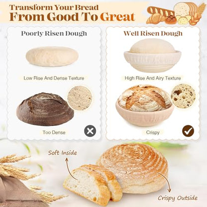 Sourdough Starter Kit Complete Set with Tools (31 Count)