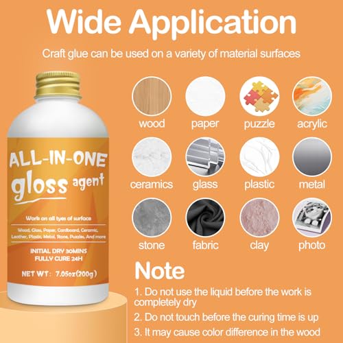 Crafts Sealer Gloss Matte Finish (13.5256 Fl Oz)