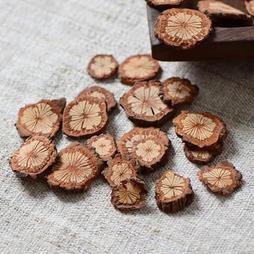 Wood Slices Small Unfinished Wood Natural Tree Bark Irregular Log Slices for Crafts Arts Table Centerpieces Decoration
