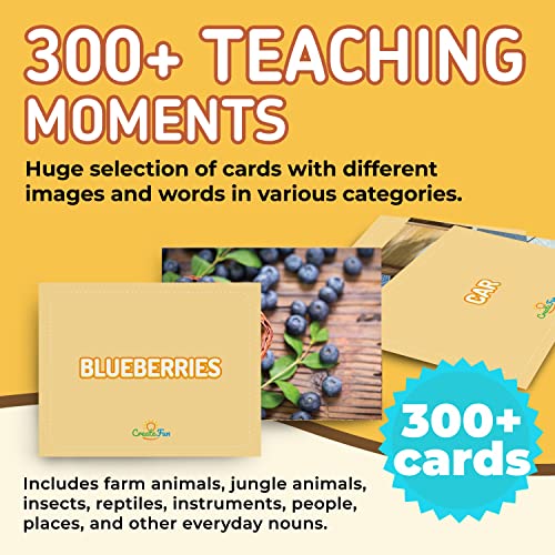 300 Noun Vocabulary Builder Flash Cards for Speech Therapy & ESL