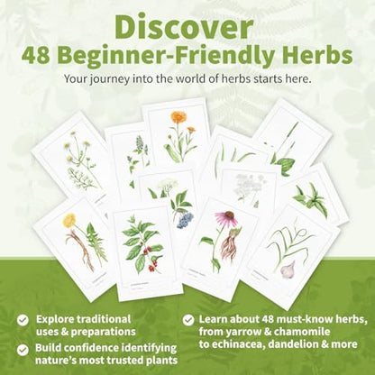 Herb Notes Plant Identification Cards (48 Count)