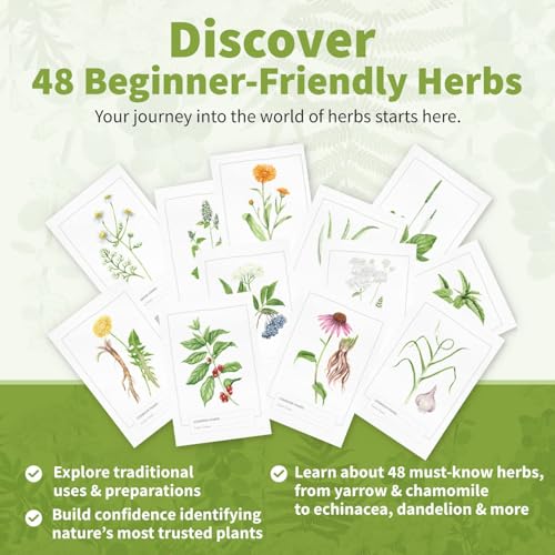 Herb Notes Plant Identification Cards (48 Count)