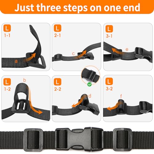 3 4" Buckles and Straps Set