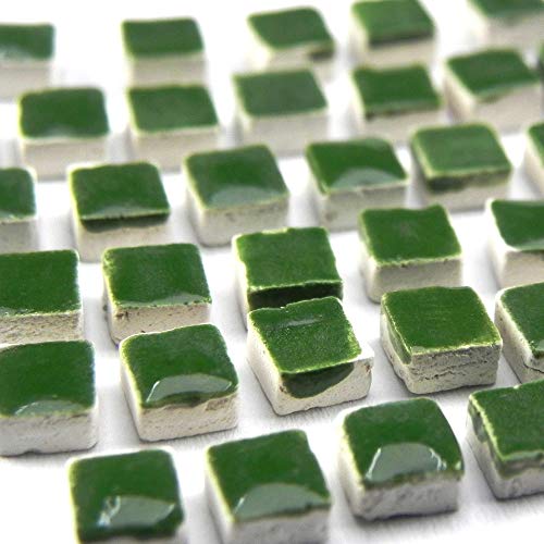 DIY Projects for Adults (1000 Count)