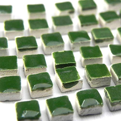 DIY Projects for Adults (1000 Count)