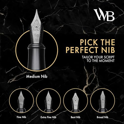 Luxury Fountain Pen Set for Writing