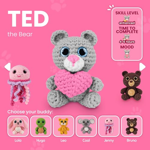 Crochet Kit for Beginners