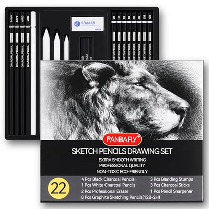 Drawing Sketching Pencil Set (22 Count)