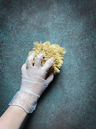 Sea Wool Art Sponge