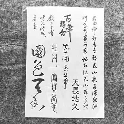 A4 Reusable Chinese Calligraphy Stencil for Painting