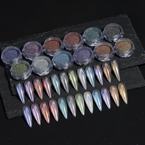 12 Colors Holographic Nail Powder (2.7 Ounce)