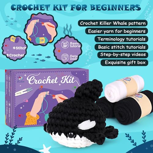 Crochet Kit for Beginners