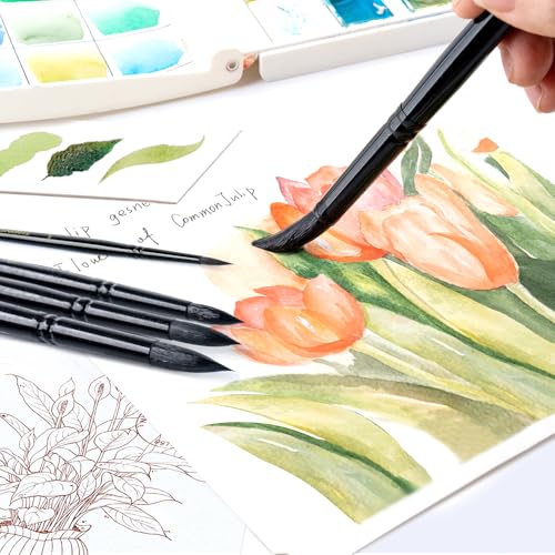 8pcs Round Watercolor Paint Brush Set Goat Hair for Watercolors (8 Count)