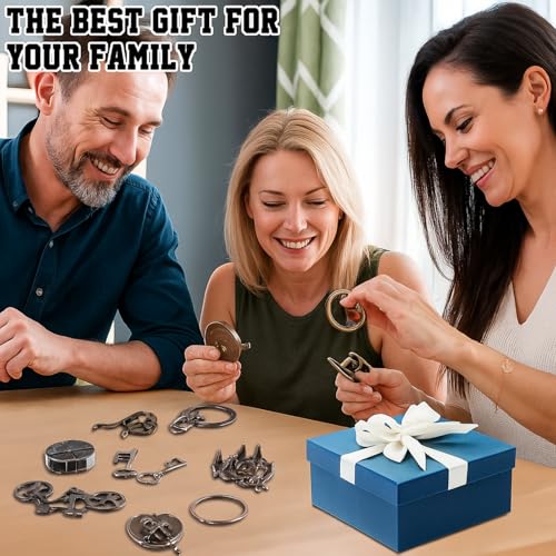 9 Pcs Metal Brain Teasers 3D Steel Puzzle Set (9 Count)