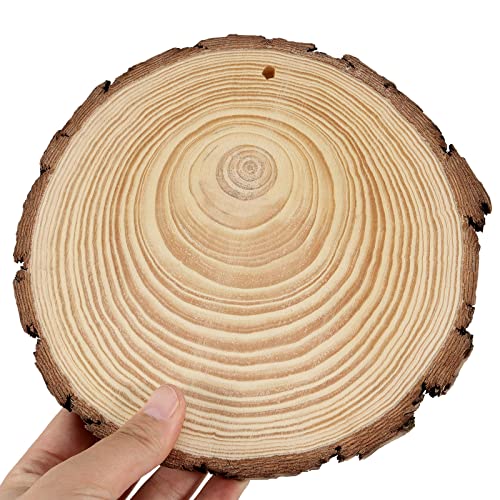 8 PCS 7 8 Inches Natural Wood Slices with Holes (8 Count)