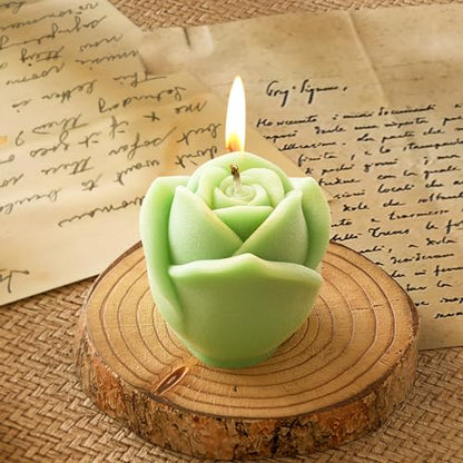 2 Pack Rose & Succulent Silicone Molds for Candle Making & Home Decor (2 Count)