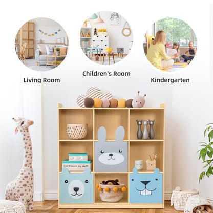 9 Cube Storage Organizer